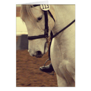 Caballo de vestir 113