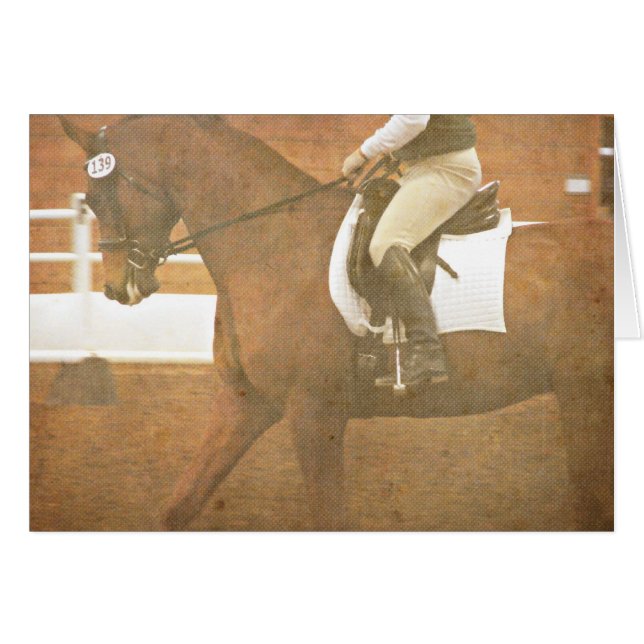 Caballo de vestir 139 (Anverso (Horizontal))