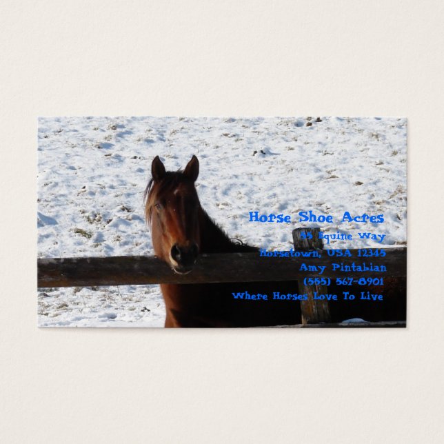 Caballo de Winter Horse Bay con vistas a las nevad (Frente)