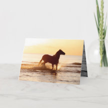 Caballo del amanecer en la tarjeta de felicitación