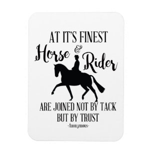 Caballo del Dressage e imán de la cita del jinete