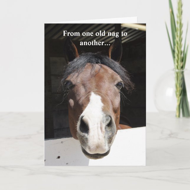 Caballo del granero, vieja queja, tarjeta del (Anverso)