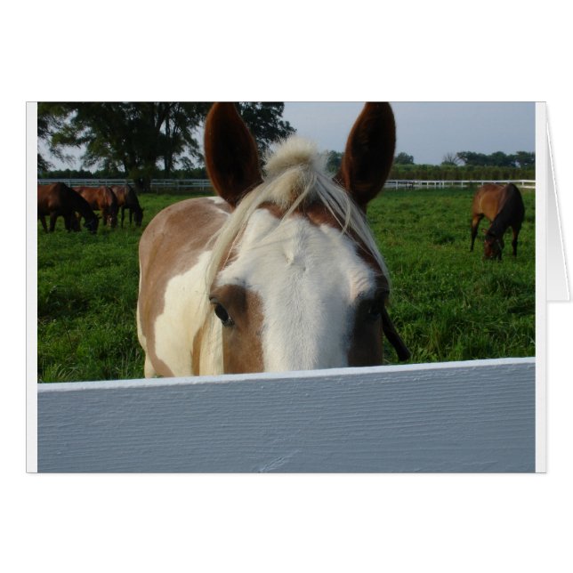 Caballo del Peek a Boo (Anverso (Horizontal))