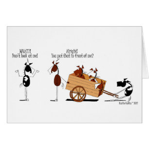 Caballo divertido delante del dibujo animado del