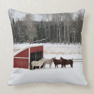 Caballo en almohada de la nieve
