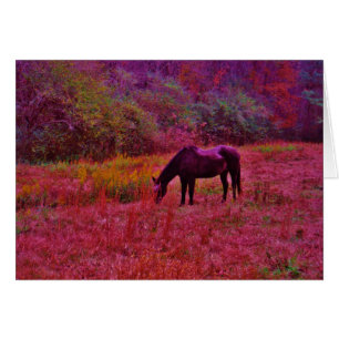 Caballo en campo de color Kaleidoscope