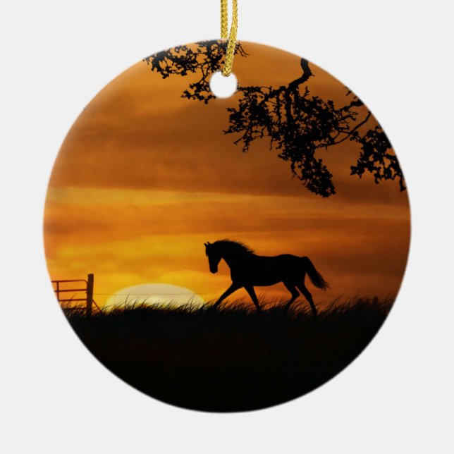 Caballo en el ornamento de la puesta del sol (Frente)