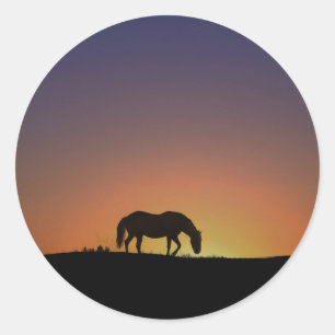 Caballo en el Pegatina del Sunrise en el Suroeste