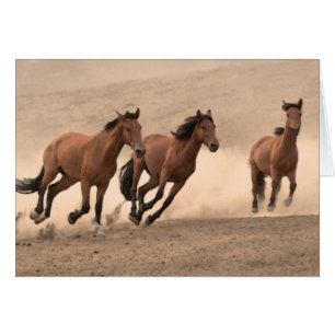 Caballo en la caída II