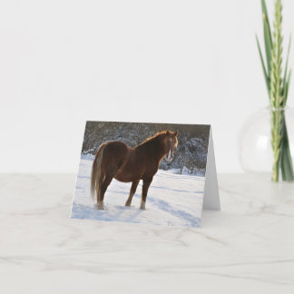 Caballo en la tarjeta de Navidad de la nieve