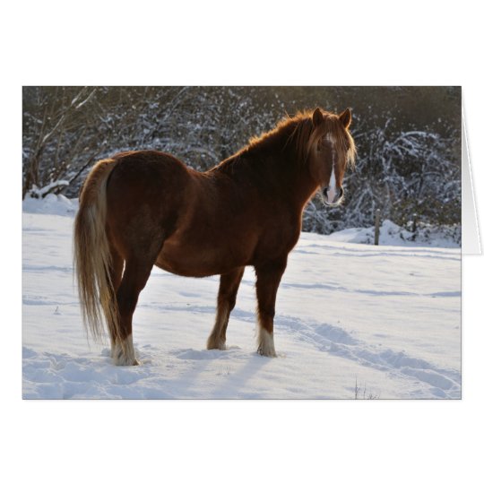 Caballo en la tarjeta de Navidad de la nieve