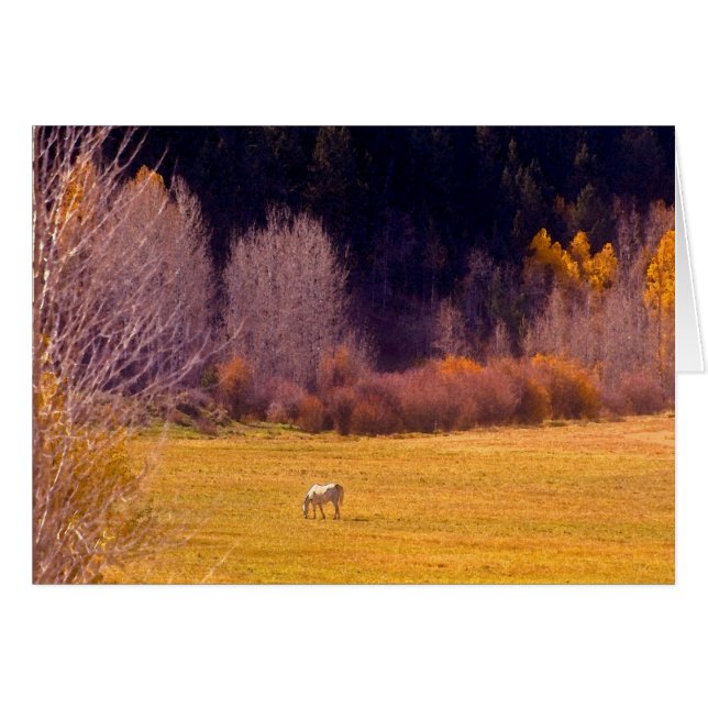 Caballo en otoño (Anverso (Horizontal))