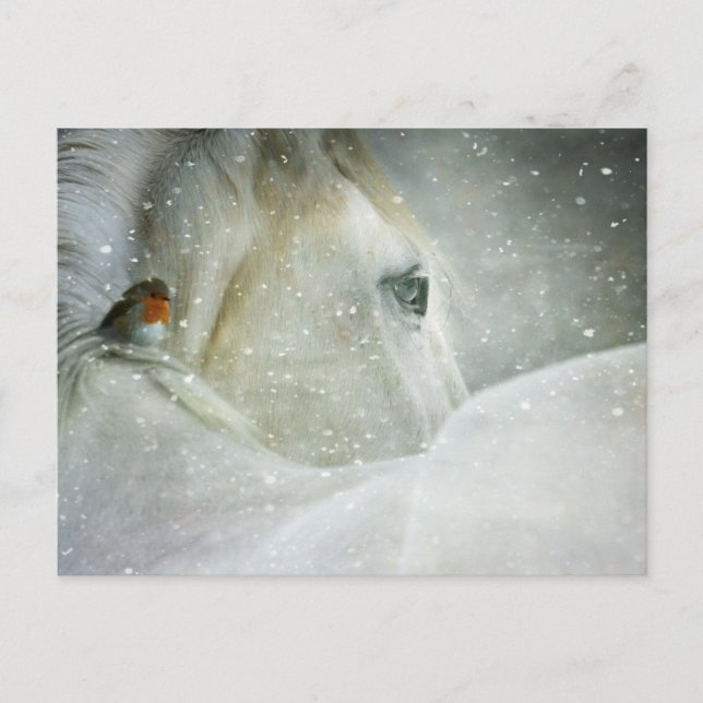 caballo en postal de invierno (Anverso)