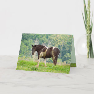 Caballo estadounidense pintado en una tarjeta de f