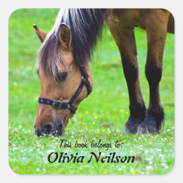 Caballo "Este libro pertenece a..." Pegatina