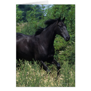 Caballo excelente que corre en hierba