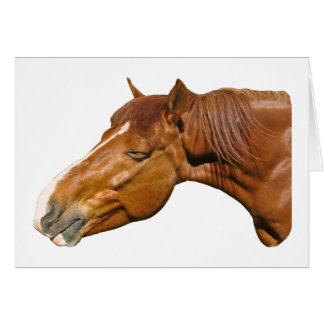Caballo feliz