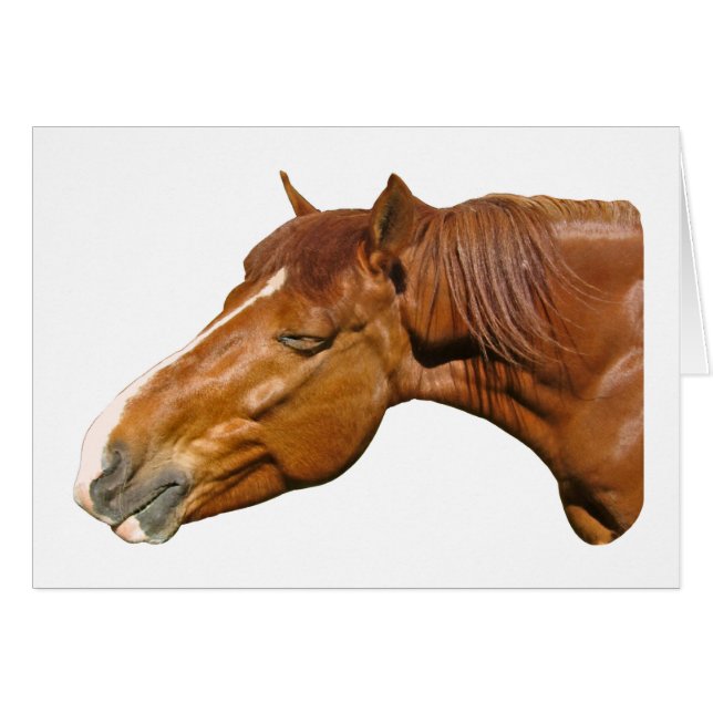 Caballo feliz (Anverso (Horizontal))