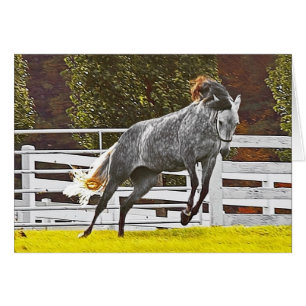 Caballo Feliz Salto