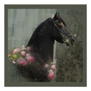 Caballo Friesiano de Belleza Negra - Poster