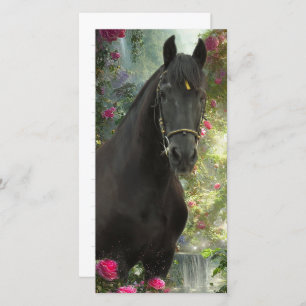Caballo Friesiano de Belleza Negra - Tarjeta de sa