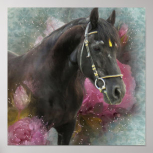Caballo Friesio - Impresión de arte