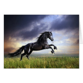 Caballo frisio negro