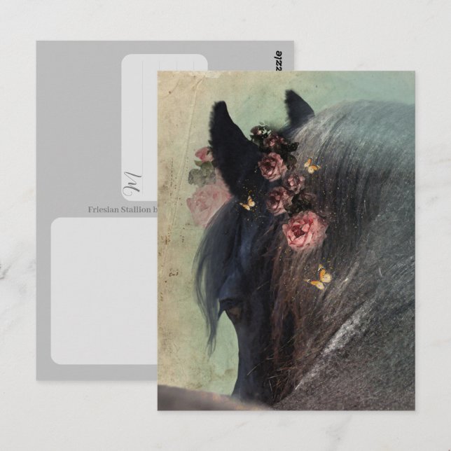 Caballo Frisón - Tarjeta postal (Anverso / Reverso)