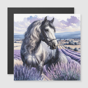 Caballo gris de bonito parado en lavanda