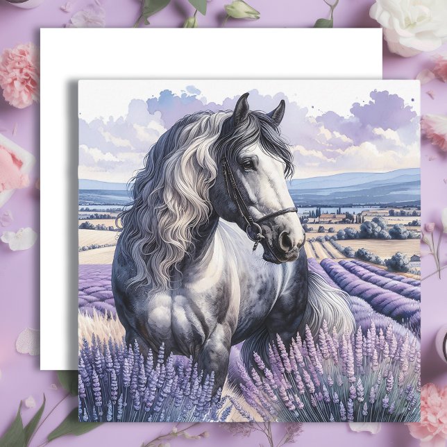 Caballo gris de bonito parado en lavanda (Subido por el creador)