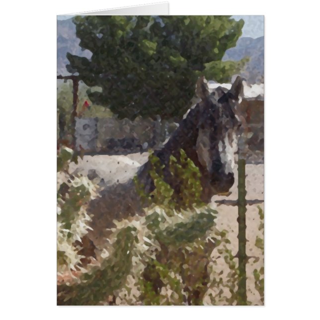 Caballo gris en Catcus (Frente)