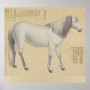 Caballo Gris Pío - Arte Chino Antiguo y Refinado