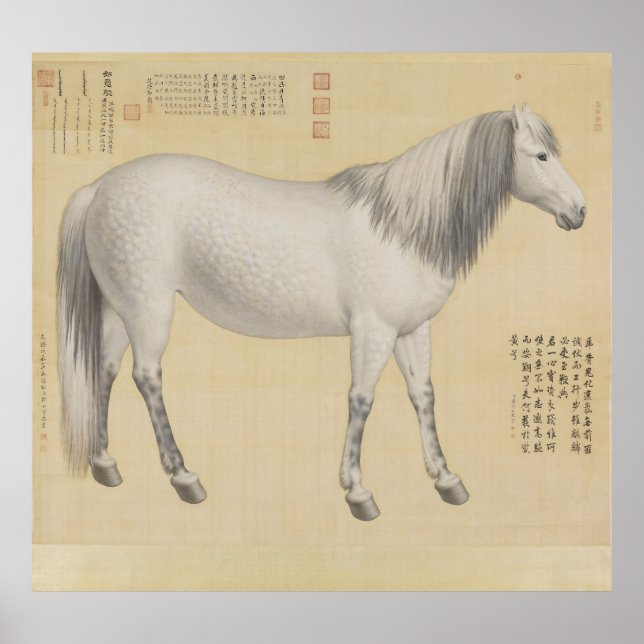 Caballo Gris Pío - Arte Chino Antiguo y Refinado (Frente)