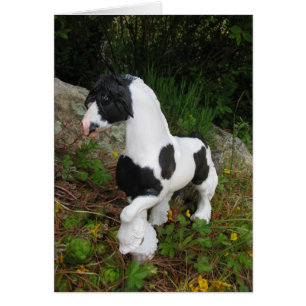 Caballo Gypsy Vanner