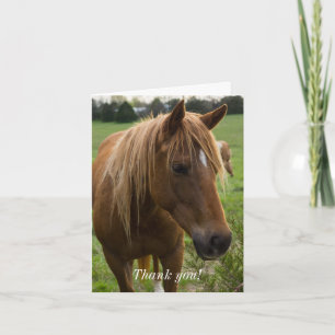 Caballo Hola Tarjeta de agradecimiento
