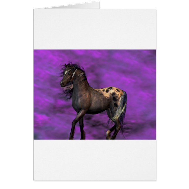 Caballo indio (Frente)