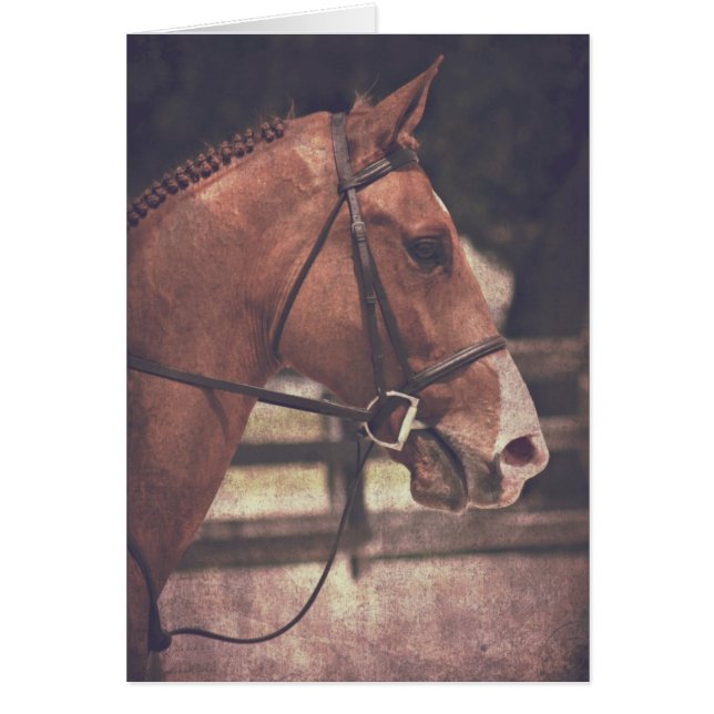 Caballo inglés (Frente)