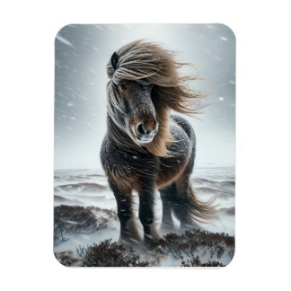 Caballo Islandés en su Elemento Imán