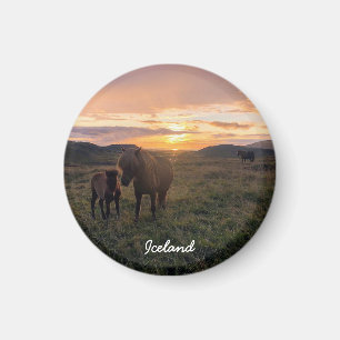 Caballo islandés - imán paisajístico