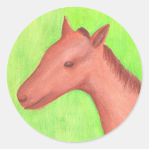 Caballo joven, poni, en Pegatinas acuáticos