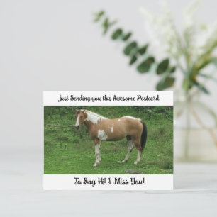 Caballo Lindo "Te Extraño" Saludo Tarjeta Postal
