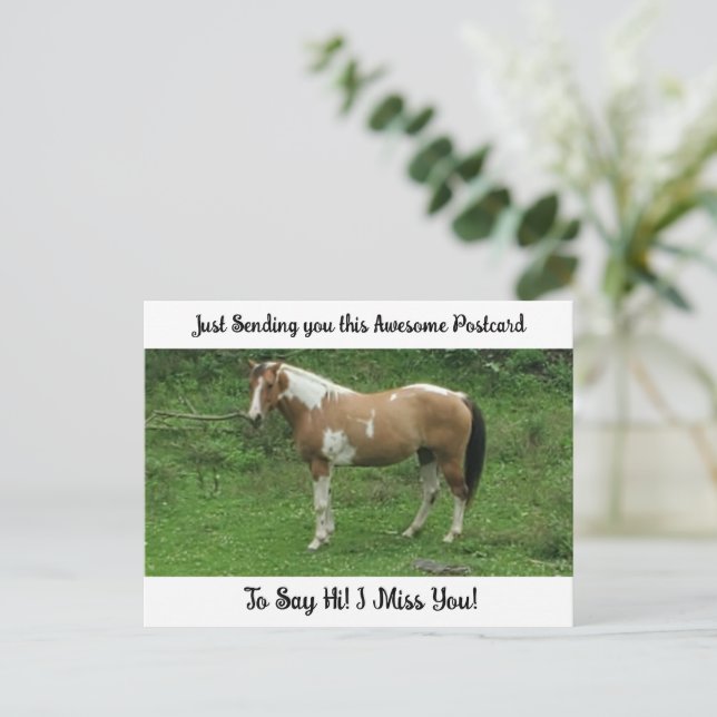 Caballo Lindo "Te Extraño" Saludo Tarjeta Postal (Anverso de pie)