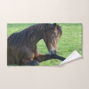 Caballo marrón bonito en la hierba