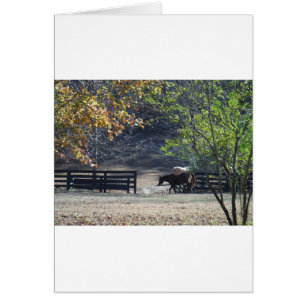 Caballo marrón caminando por la valla