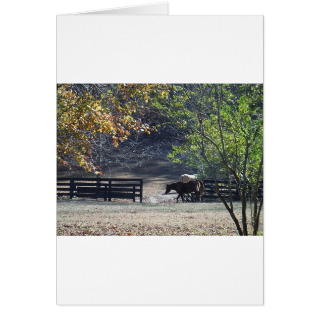 Caballo marrón caminando por la valla (Frente)