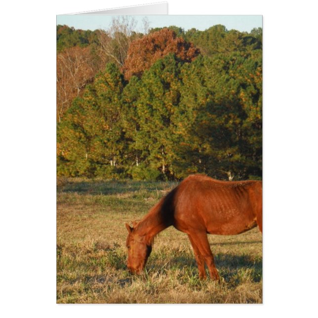 Caballo marrón con pinos (Frente)