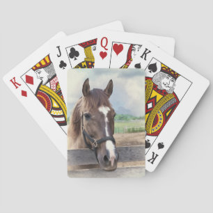 Caballo marrón con una cubierta brillante de carta