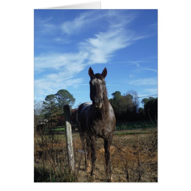 Caballo marrón de chocolate lechoso en azul (Frente)