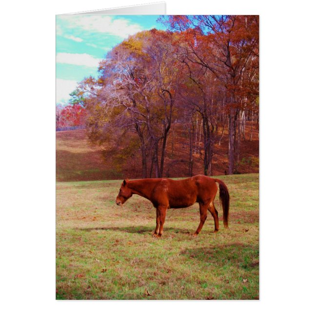 Caballo marrón en un campo de hierba (Frente)