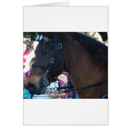 Caballo marrón oscuro que lleva gafas